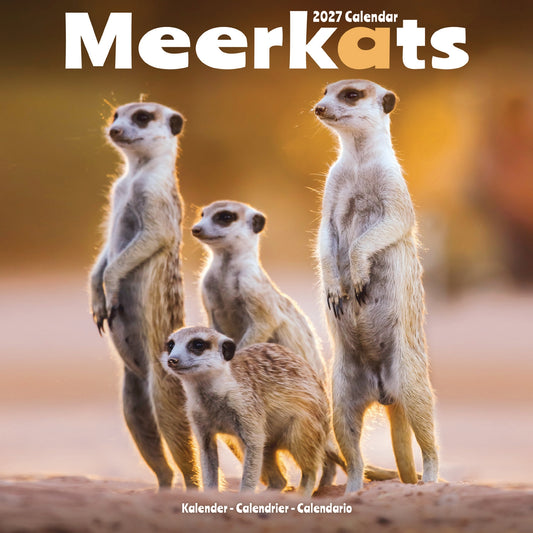 Meerkats Wall Calendar 2027