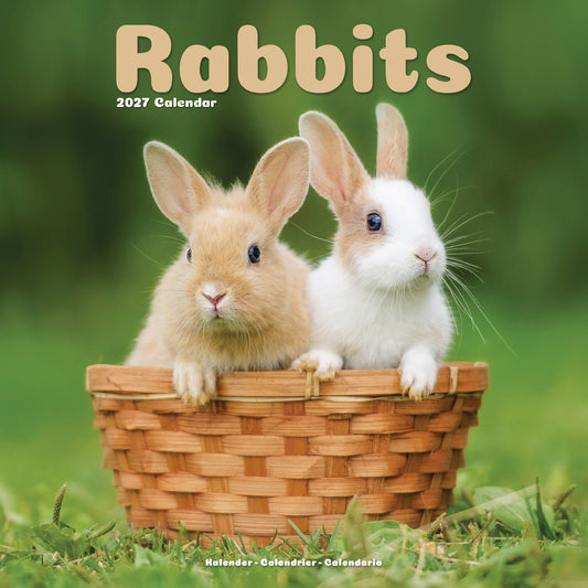 Rabbits Wall Calendar 2027