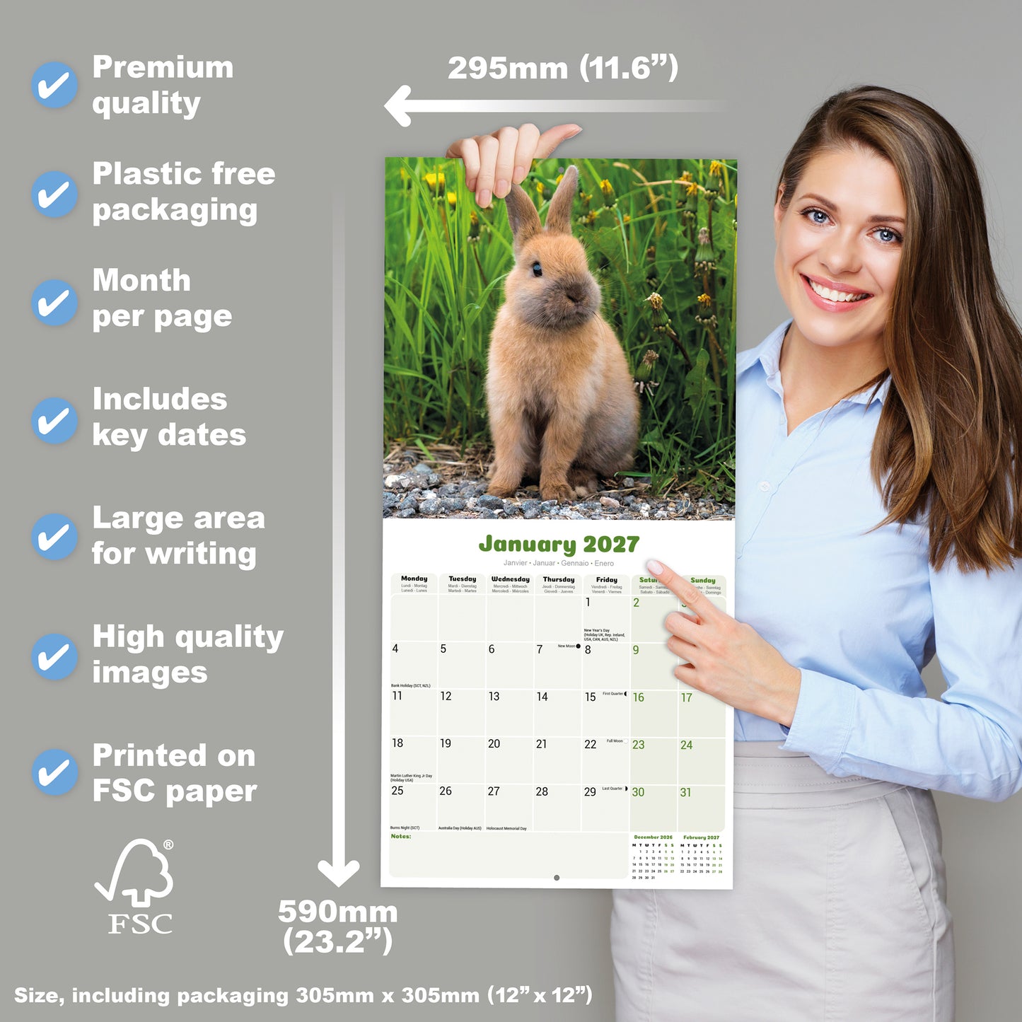 Rabbits Wall Calendar 2027