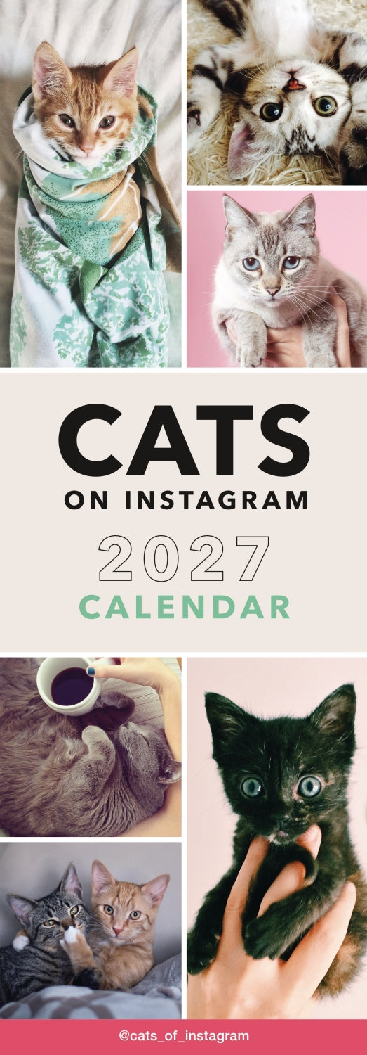 Cats on Instagram Slim Calendar 2027