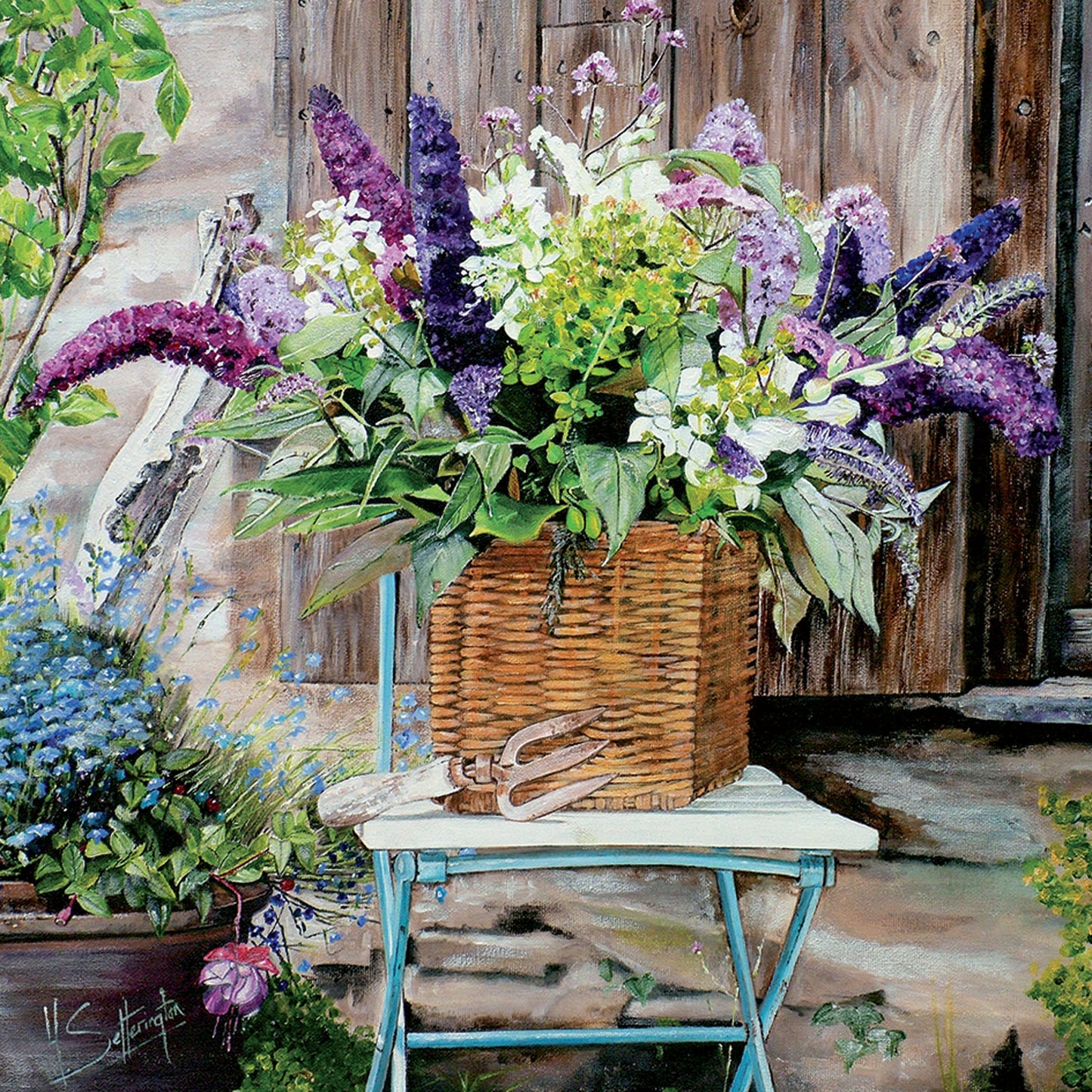 Quayside Gallery Card Collection - Beautiful Buddleia