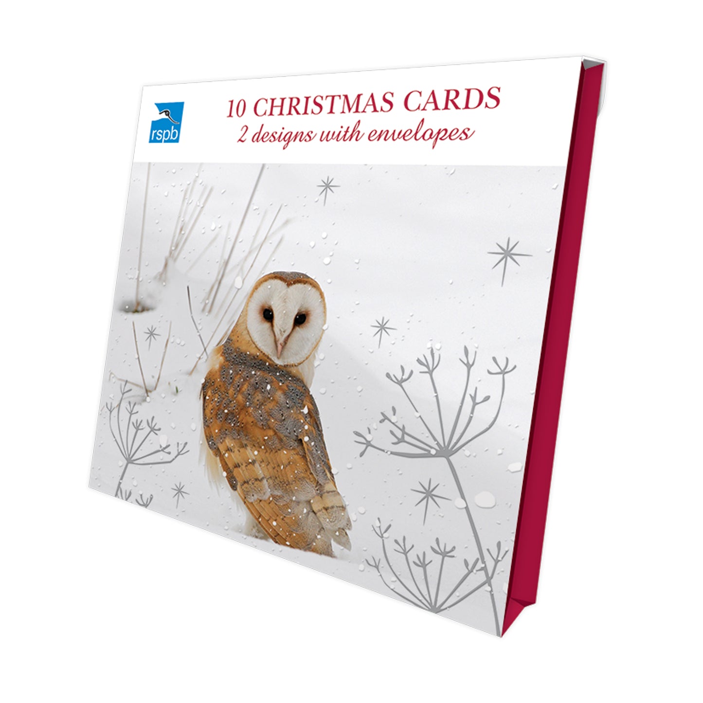 RSPB Luxury Christmas Cards (10 Cards) - Winter Wonder