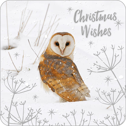 RSPB Luxury Christmas Cards (10 Cards) - Winter Wonder