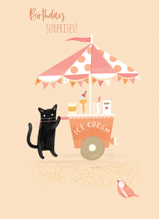 Olive & Wilma Card Collection - Ice Cream Seller