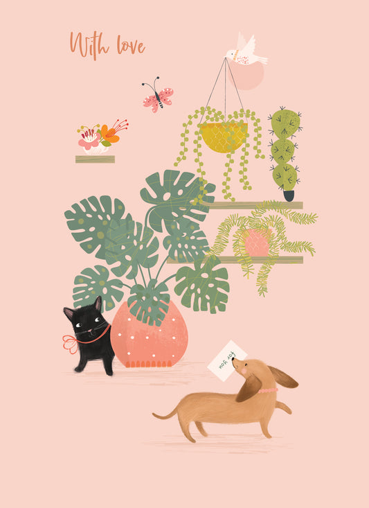 Olive & Wilma Card Collection - Indoor Plants