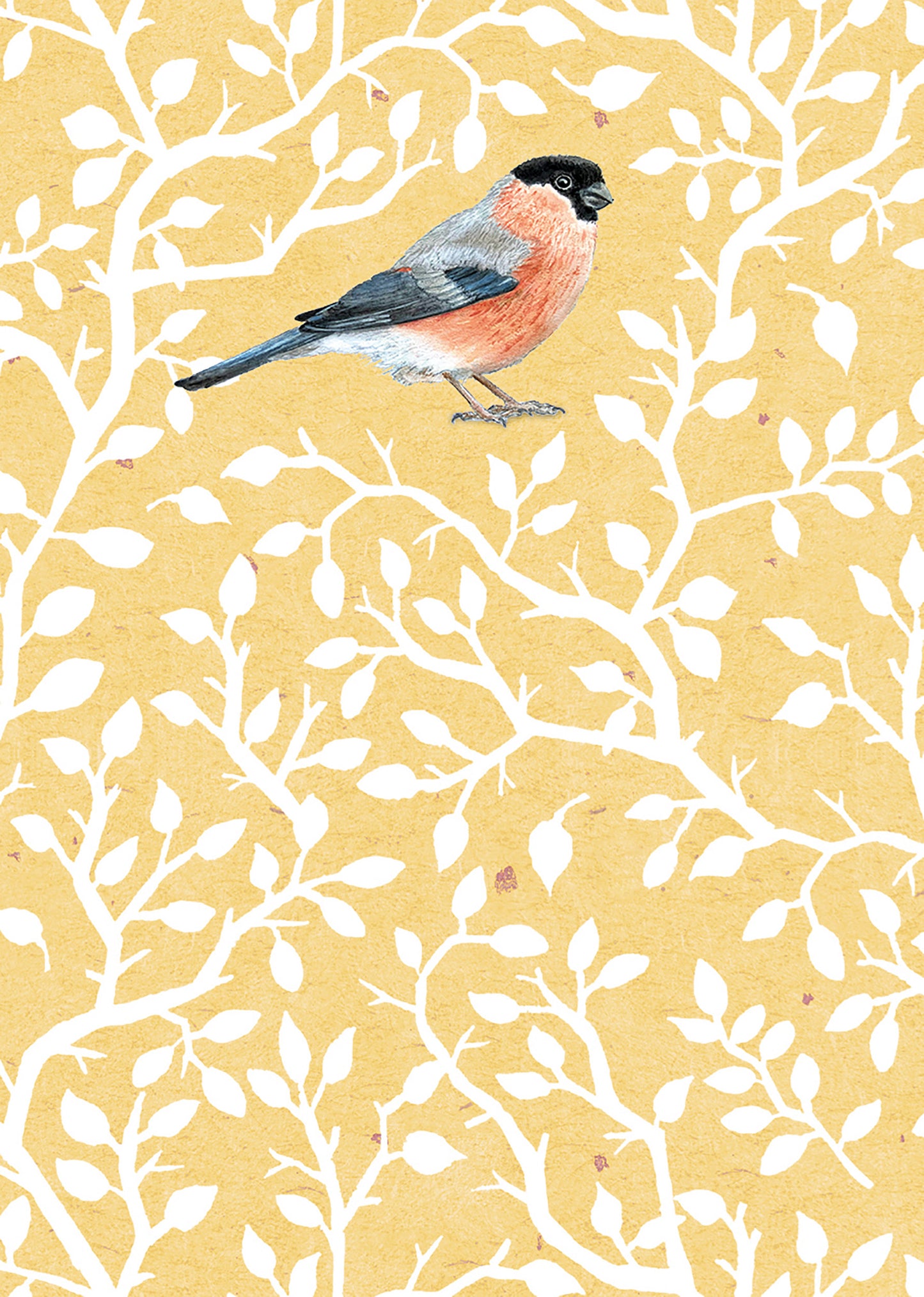 RSPB - In The Wild Stationery - Small Notecards (6 Card Pack) - Bullfinch