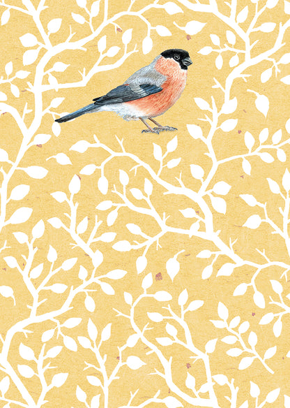 RSPB - In The Wild Stationery - Small Notecards (6 Card Pack) - Bullfinch