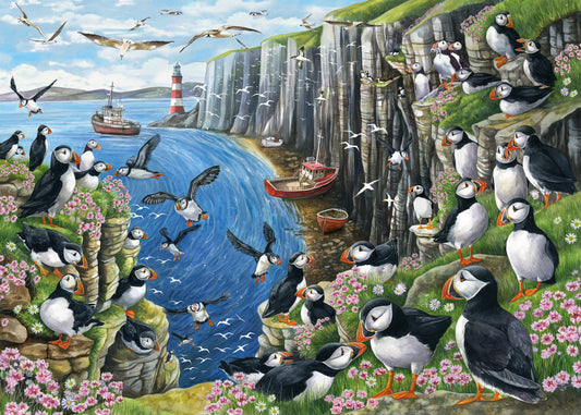 Clifftop View - Puffin - 1000 Piece Jigsaw Puzzle