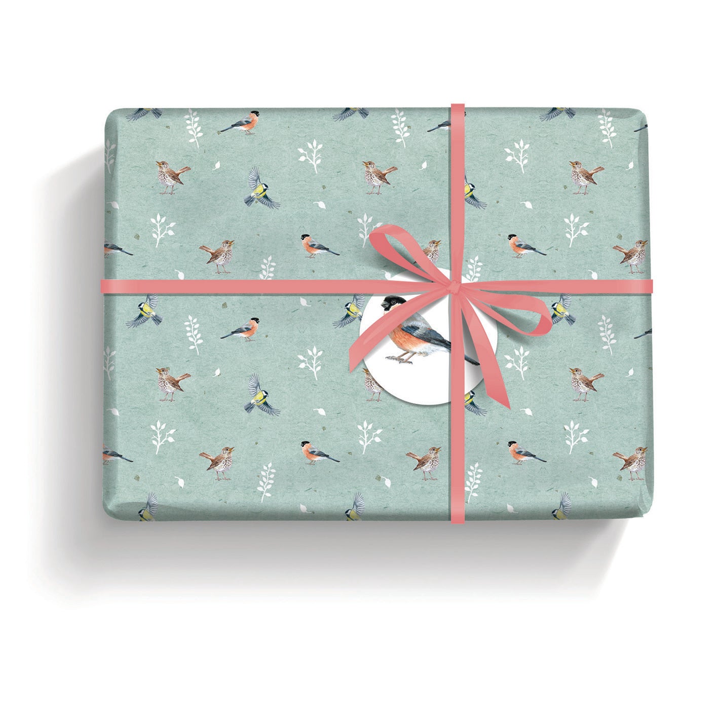 Gift Wrap & Tags - RSPB In the Wild (2 Sheets & 2 Tags)