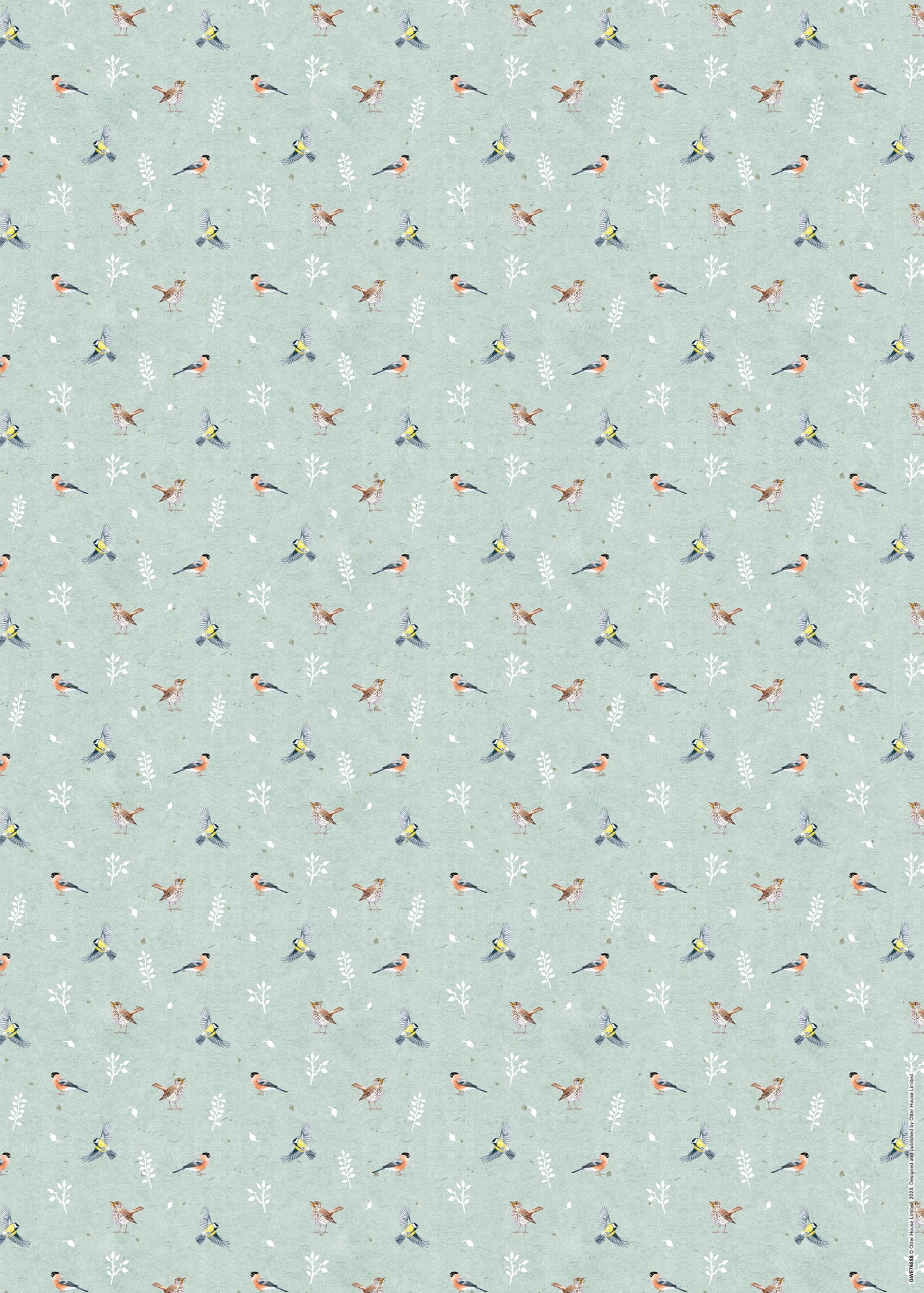 Gift Wrap & Tags - RSPB In the Wild (2 Sheets & 2 Tags)