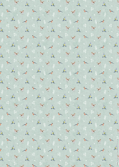 Gift Wrap & Tags - RSPB In the Wild (2 Sheets & 2 Tags)