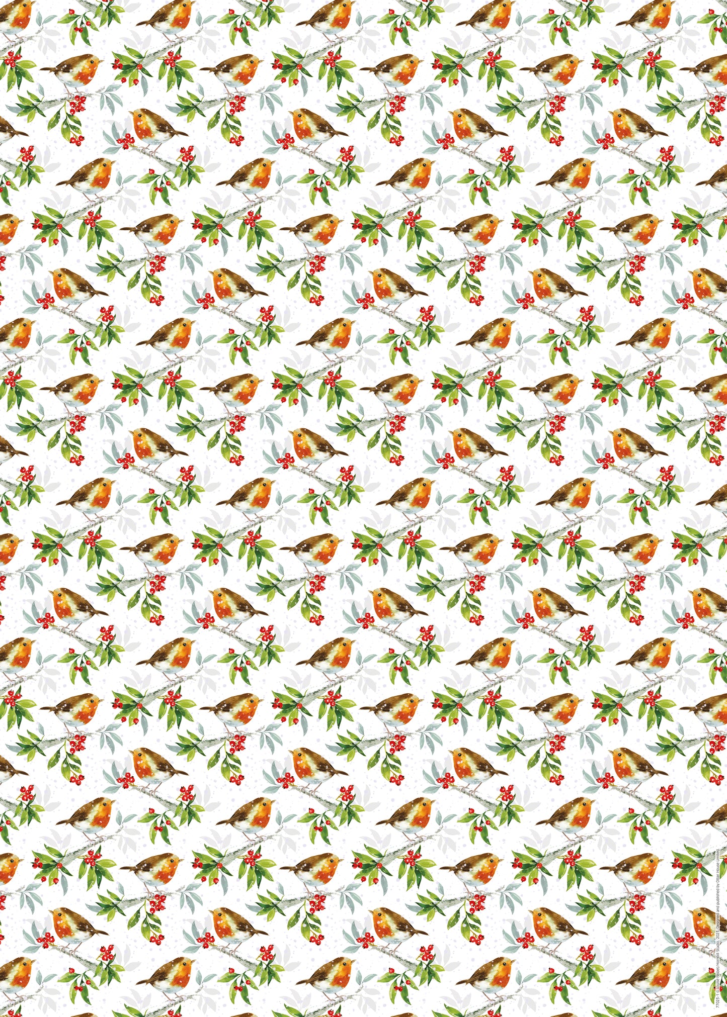 Christmas Wrap & Tags - Holly Robins (10 Sheets & 10 Tags)