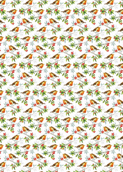 Christmas Wrap & Tags - Holly Robins (10 Sheets & 10 Tags)