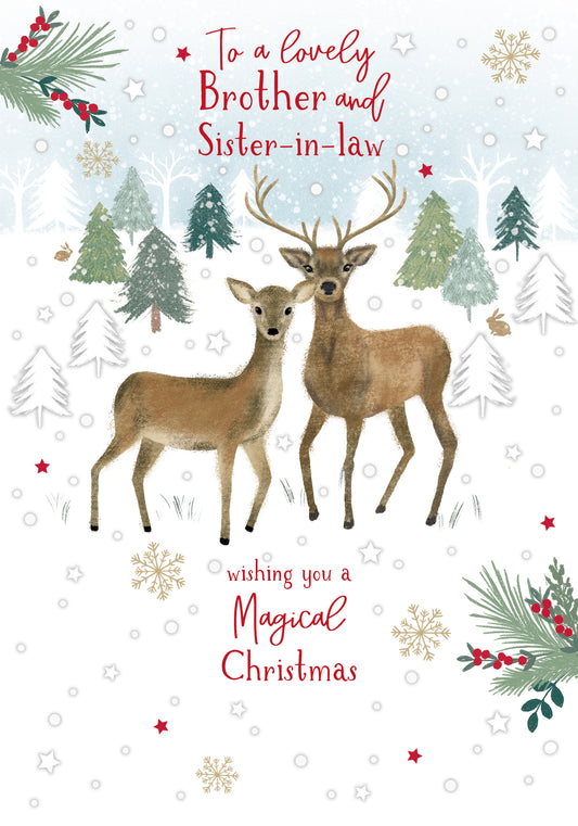 Christmas Card (Single) - Brother & Sister-In-Law