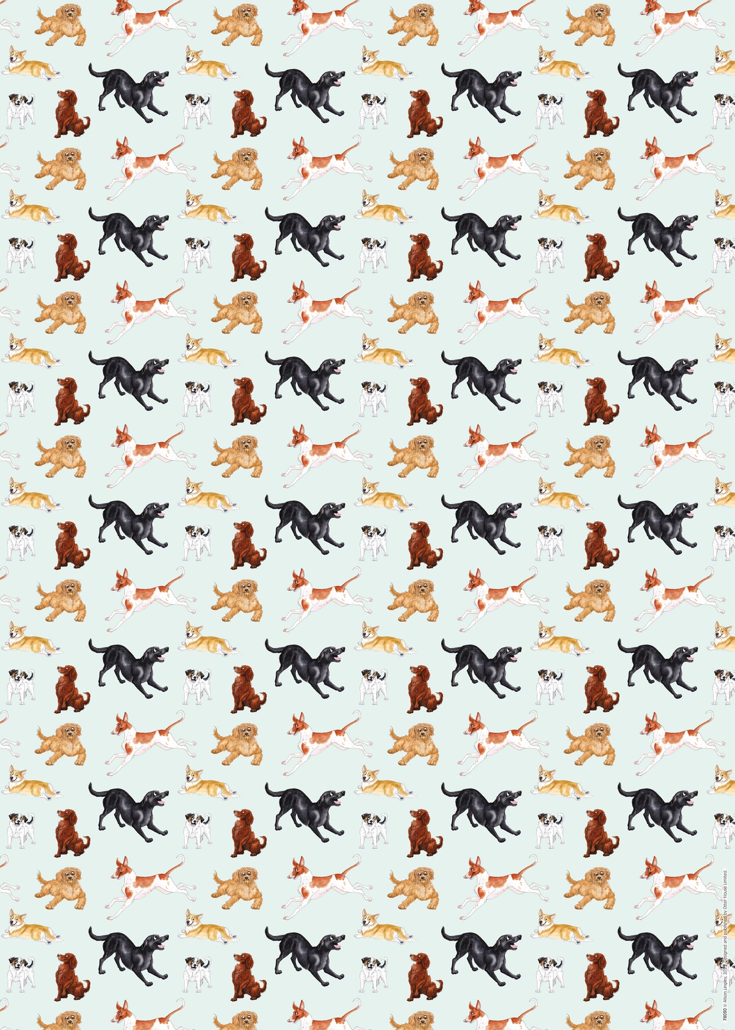 Gift Wrap & Tags - Alison's Animals Dog (2 Sheets & 2 Tags)