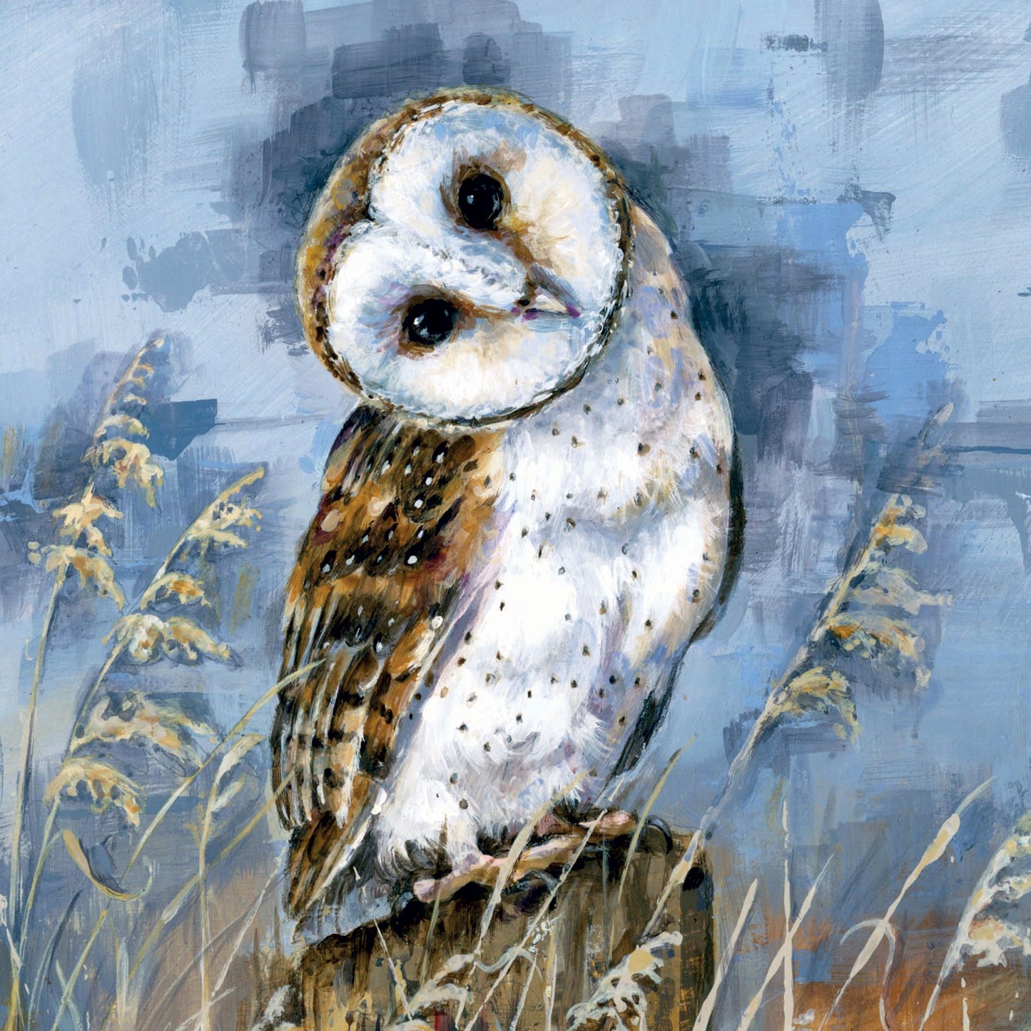 Wild Friends Card Collection - Barn Owl
