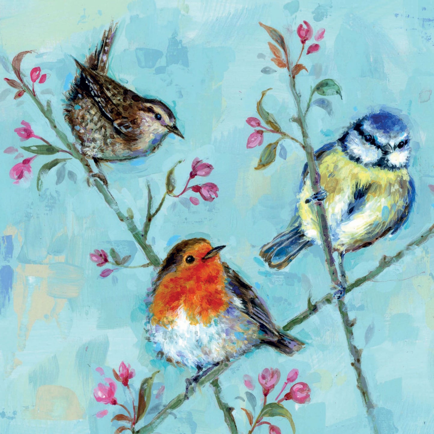 Wild Friends Card Collection - Garden Birds