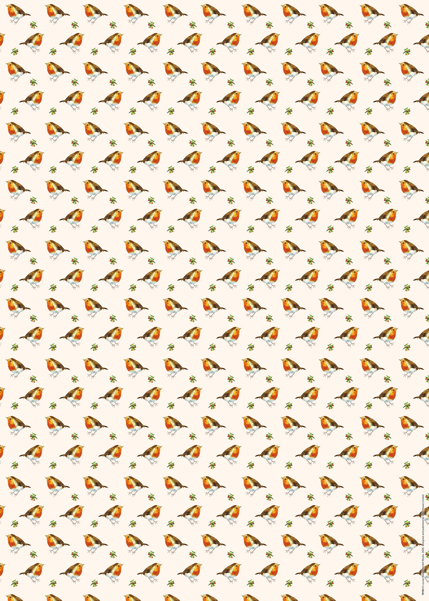 Christmas Wrap & Tags - Little Robins (5 Sheets & 5 Tags)