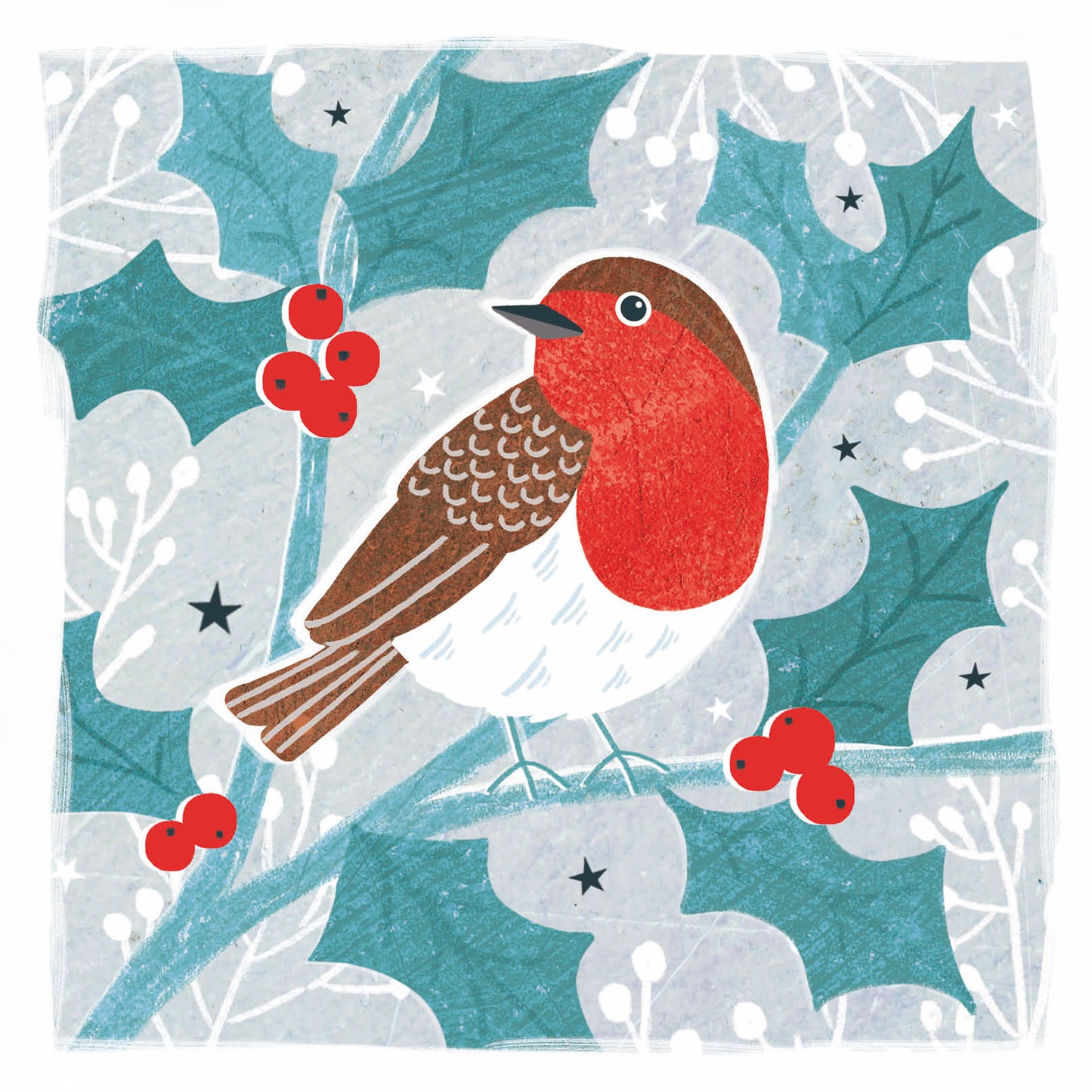 RSPB Luxury Christmas Card Twin Pack (10 Cards) - Robins & Berries