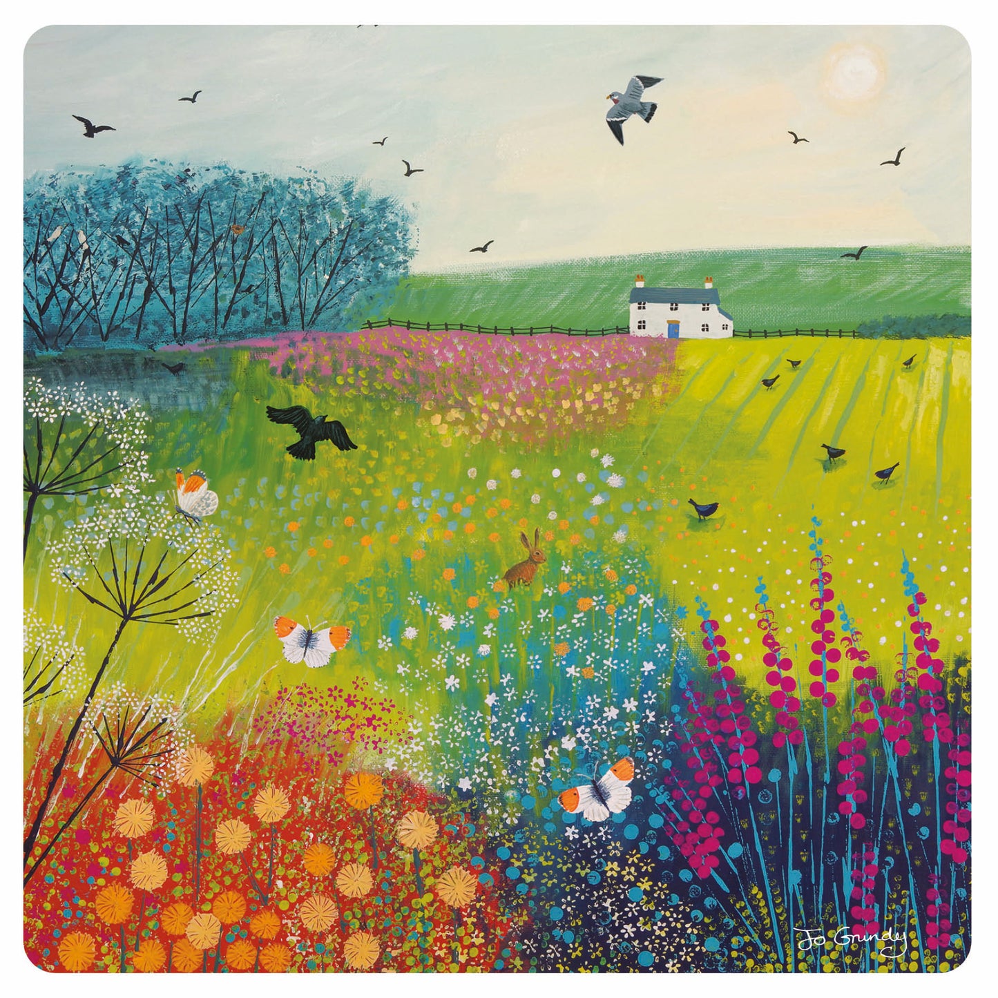 Jo Grundy Card Collection - Midsummer Meadow