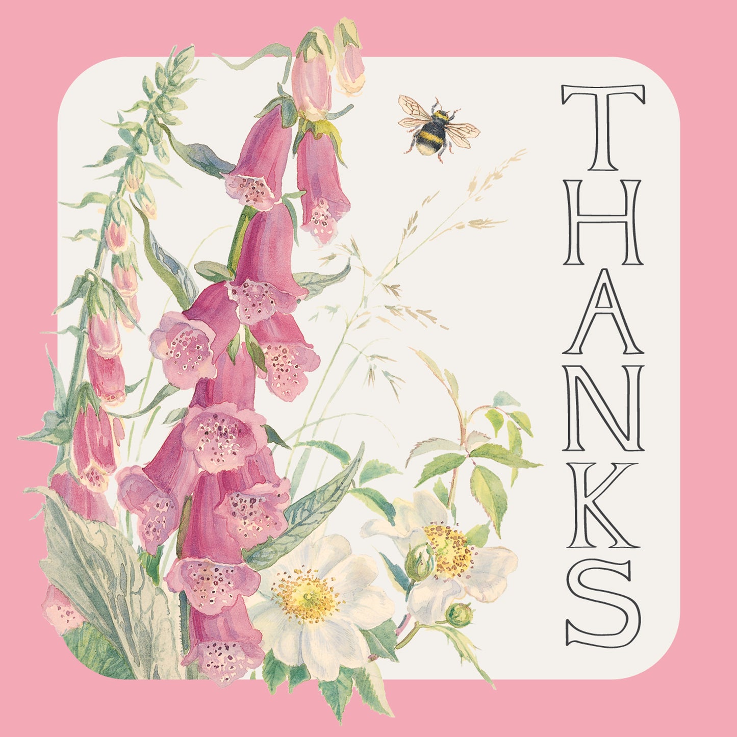 Notecard Pack (10 Cards) - Edith Holden - Wild Hyacinth & Foxglove