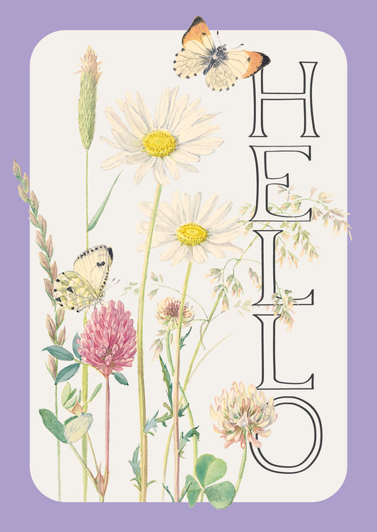 Notecard Pack (12 Cards) - Edith Holden - Daisy & Milkwort