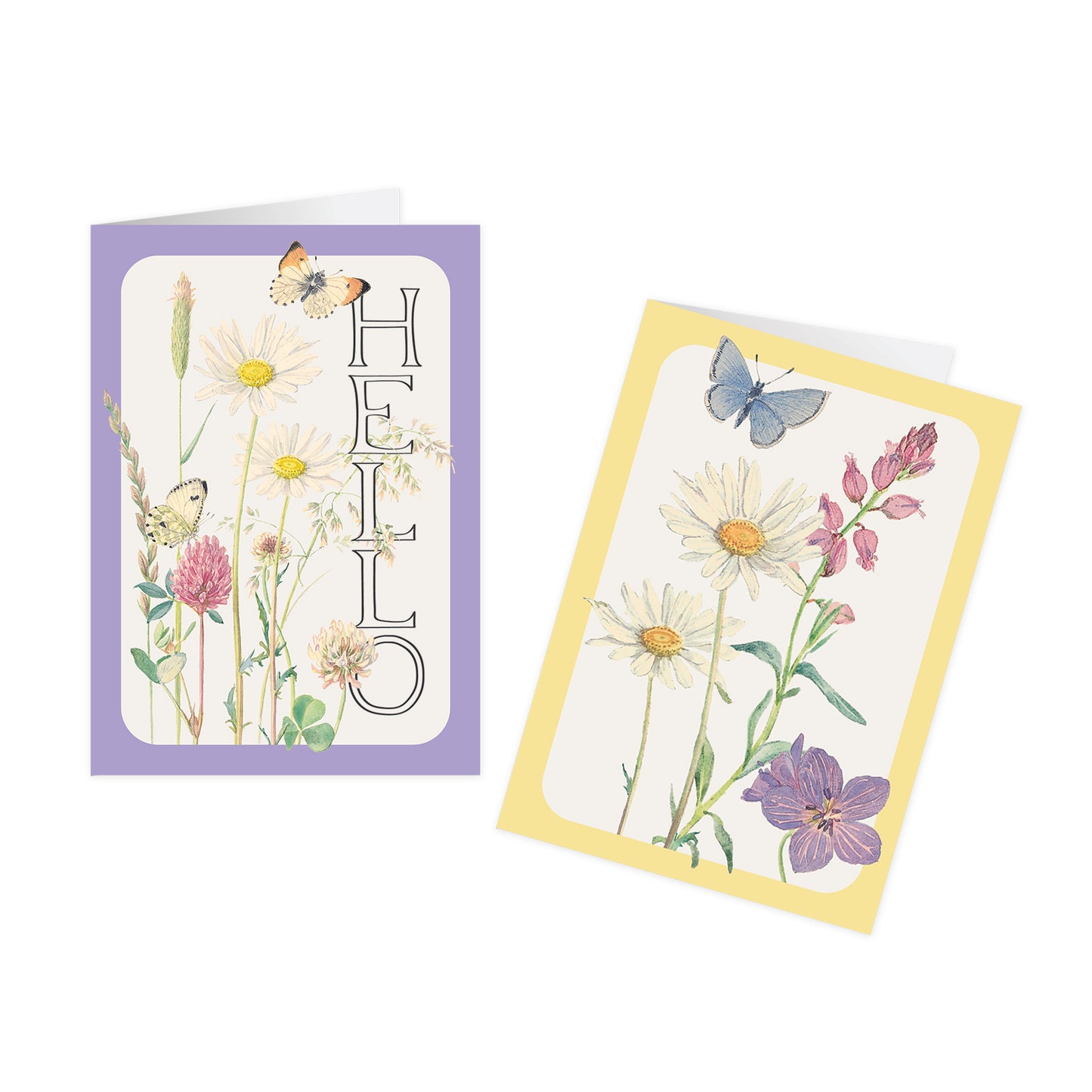 Notecard Pack (12 Cards) - Edith Holden - Daisy & Milkwort