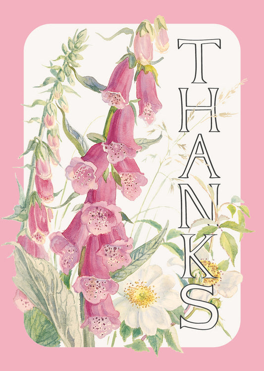 Mini Notecard Pack (6 Cards) - Edith Holden - Foxglove