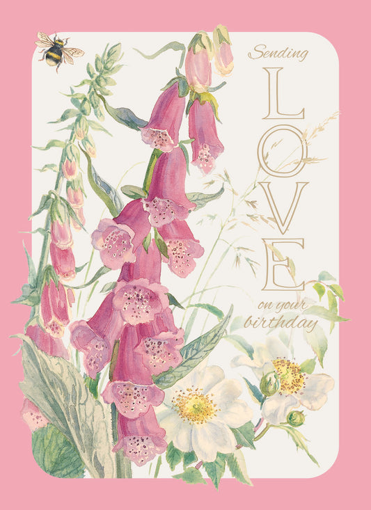 Edith Holden A Country Diary Card Collection - Sending Love on Your Birthday