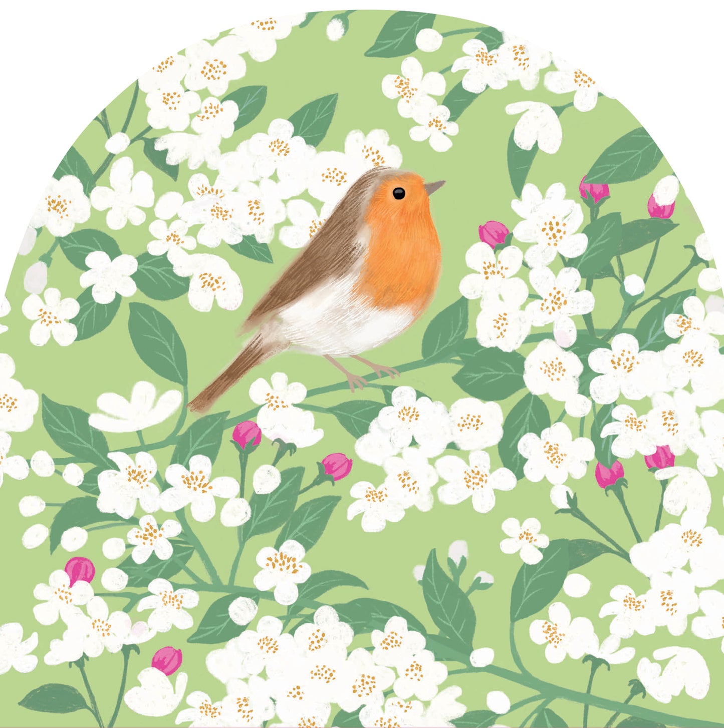 RSPB White Blossom Card - Robin & Apple Blossom