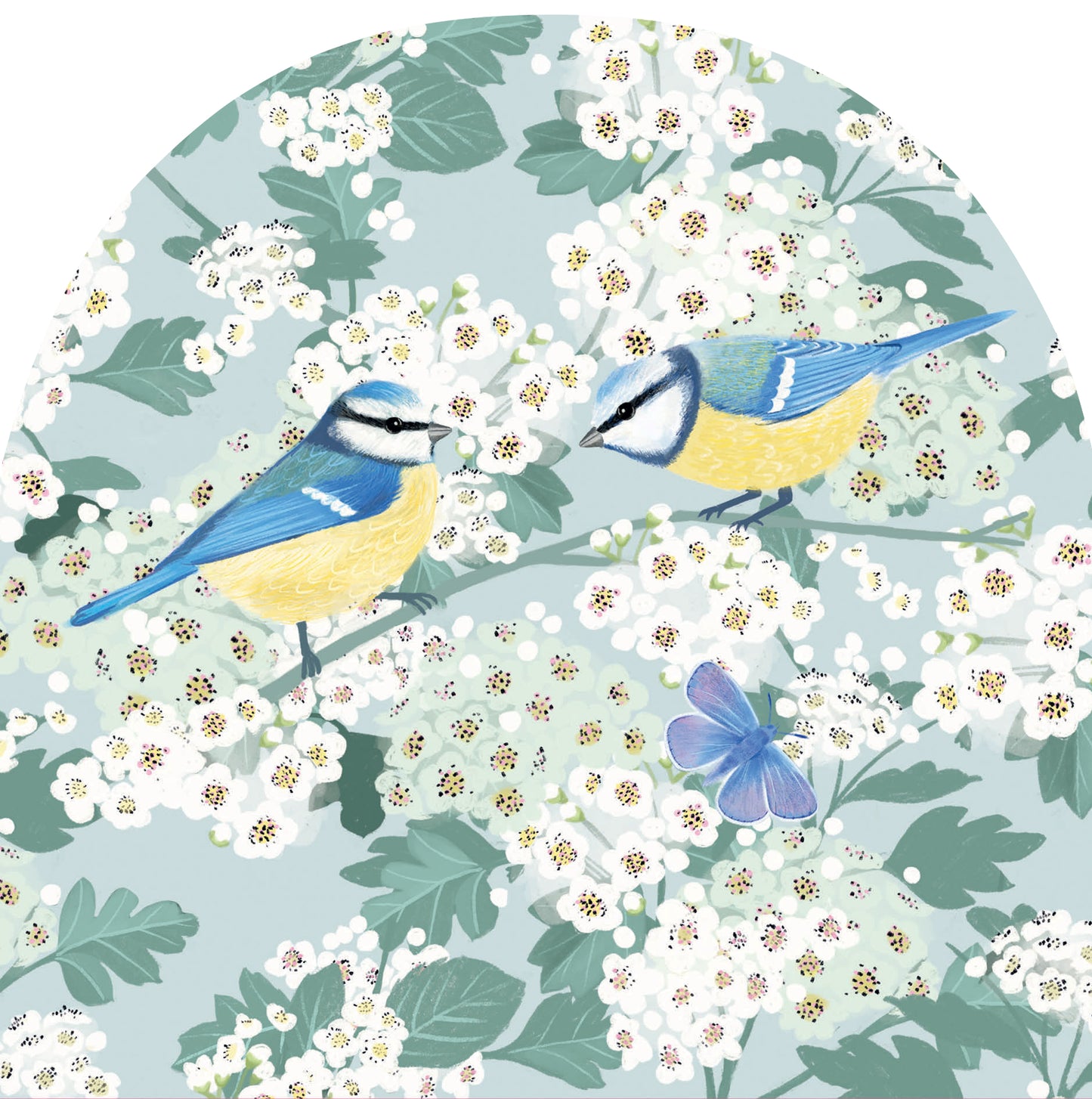 RSPB White Blossom Card - Blue Tits & Hawthorn