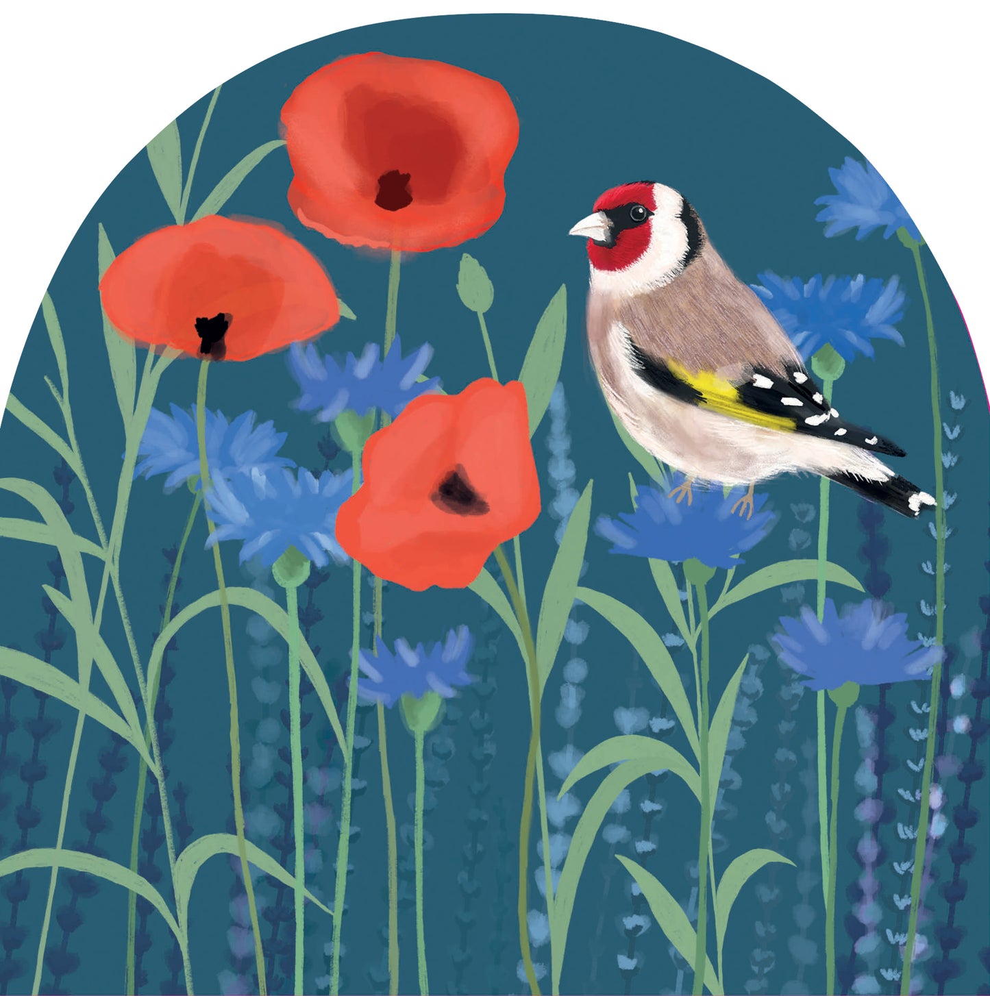 RSPB White Blossom Card - Goldfinch & Poppies