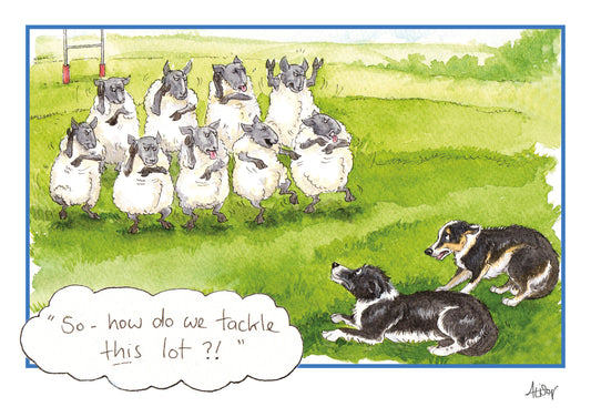 Alison's Animals Card - How Do We Tackle This Lot?
