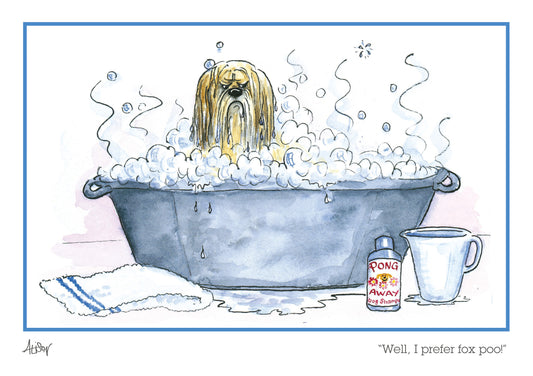 Alison's Animals Card - I Prefer Fox Poo