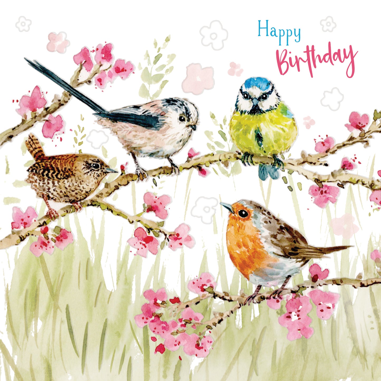 Wild & Serene Card Collection - Birds