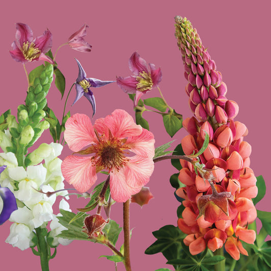 Alex Sharp Card - Floral - Floral Jungle