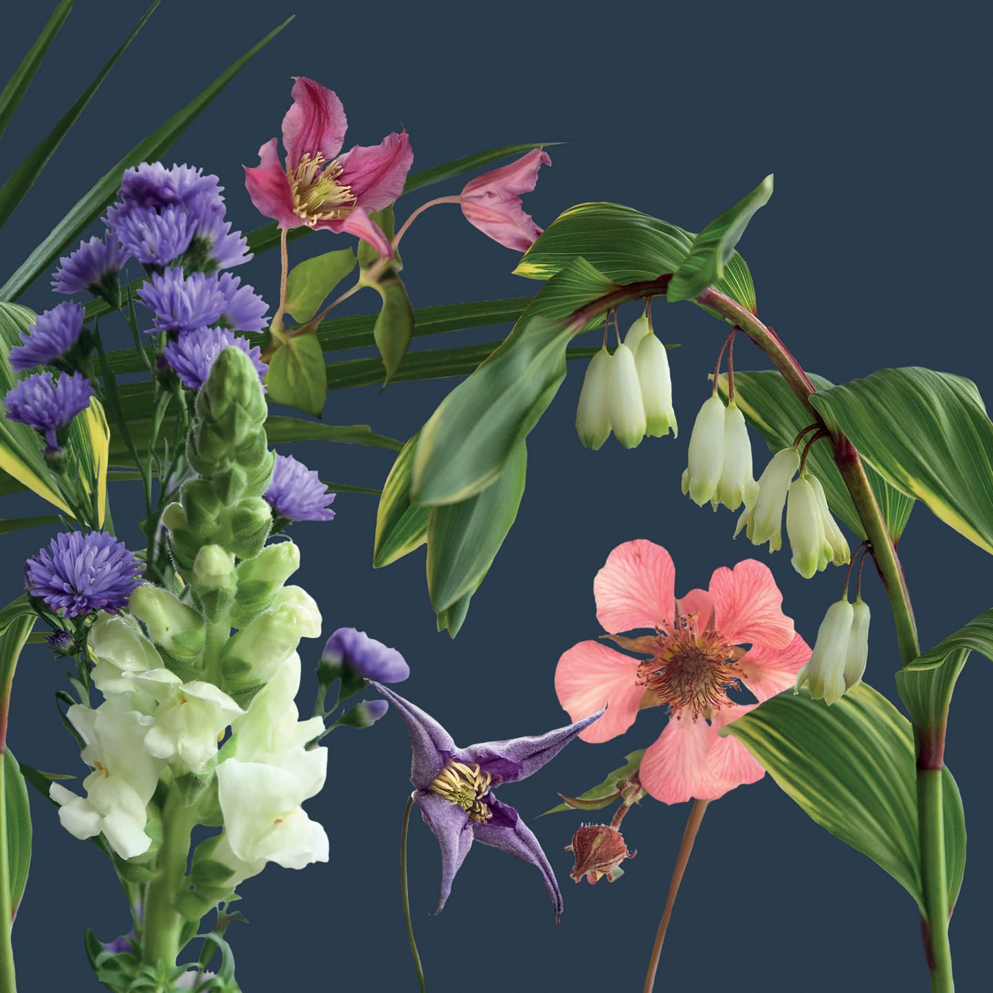 Alex Sharp Card - Floral - Live Life In Full Bloom