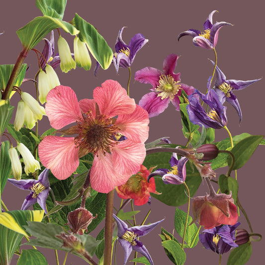 Alex Sharp Card - Floral - Crazy Happy Flowers