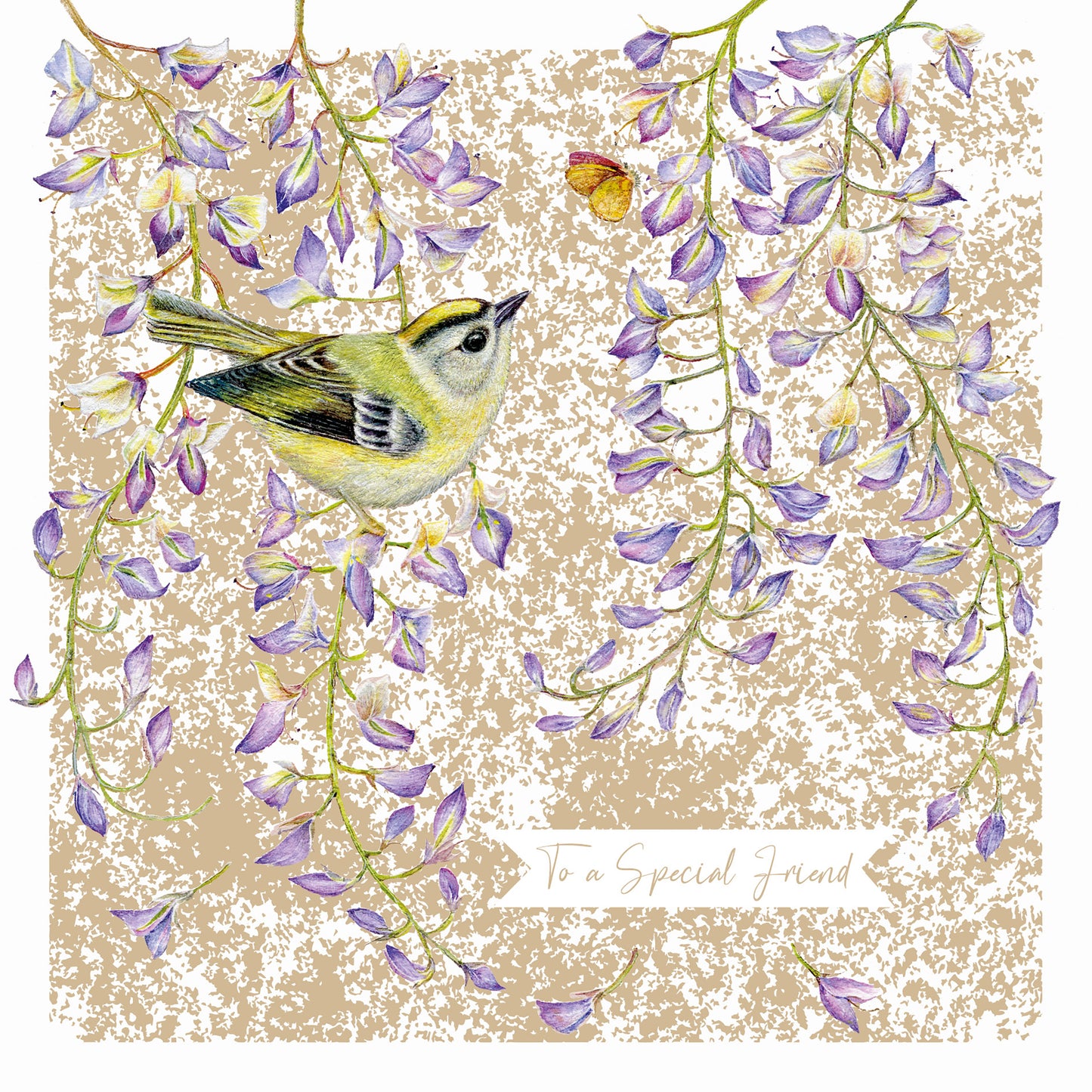 Aurelia Card - Firecrest