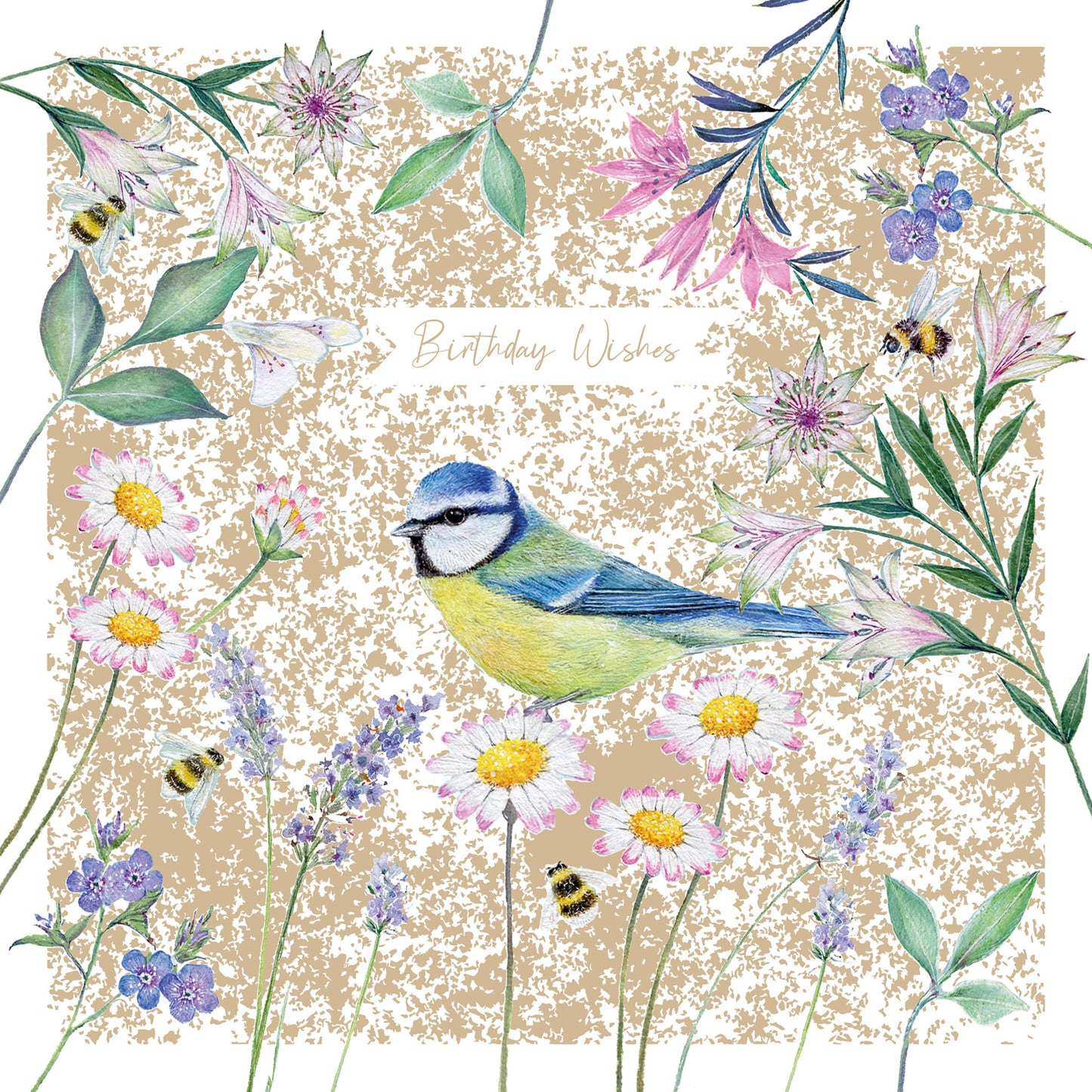 Aurelia Card - Blue Tit