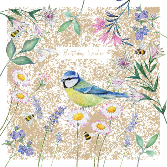 Aurelia Card - Blue Tit