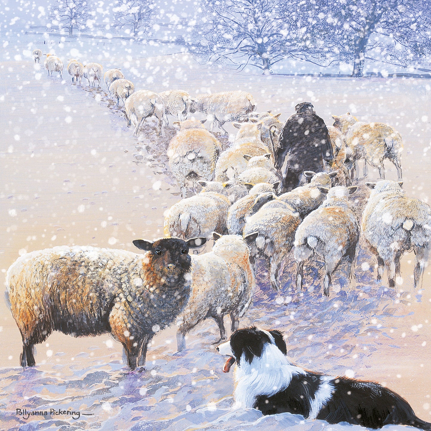 Charity Christmas 10 Card Pack - The Journey Home