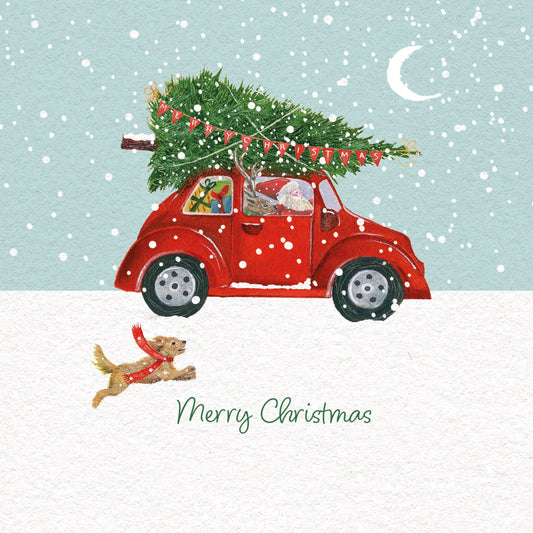 Charity Christmas 10 Card Pack - Taking the Tree Home