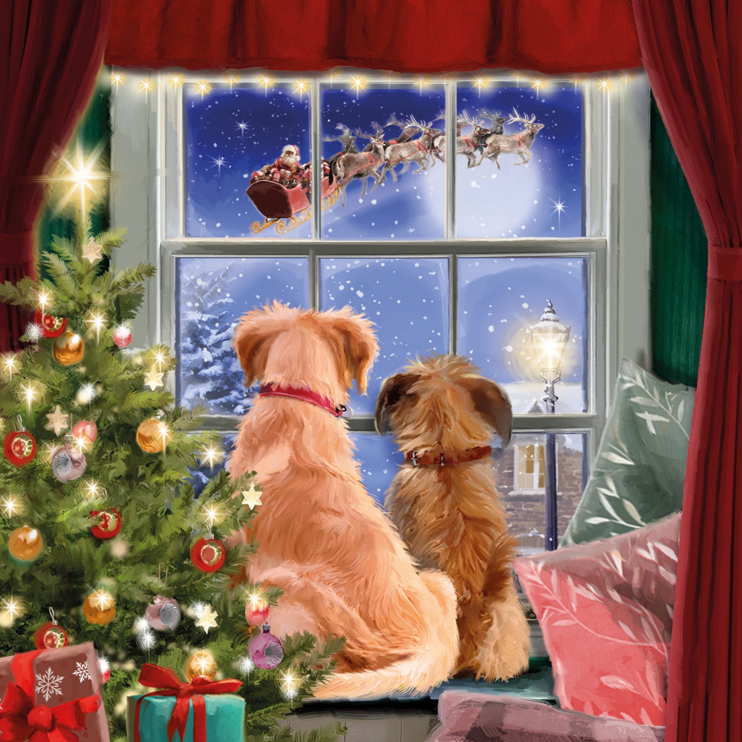 Charity Christmas 10 Card Pack - Watching Santa