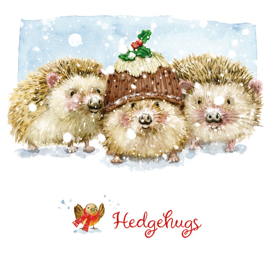 Charity Christmas 10 Card Pack - Hedgehugs