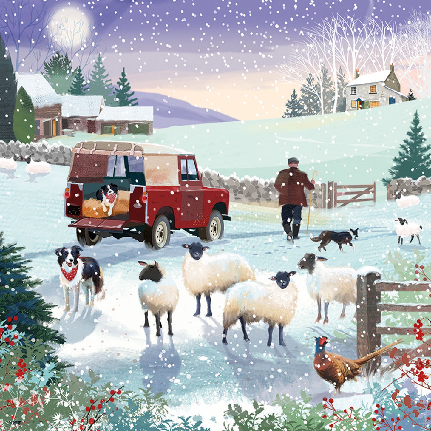 Luxury Charity Christmas Card Twin Pack (10 Cards) - Christmas on the Farm