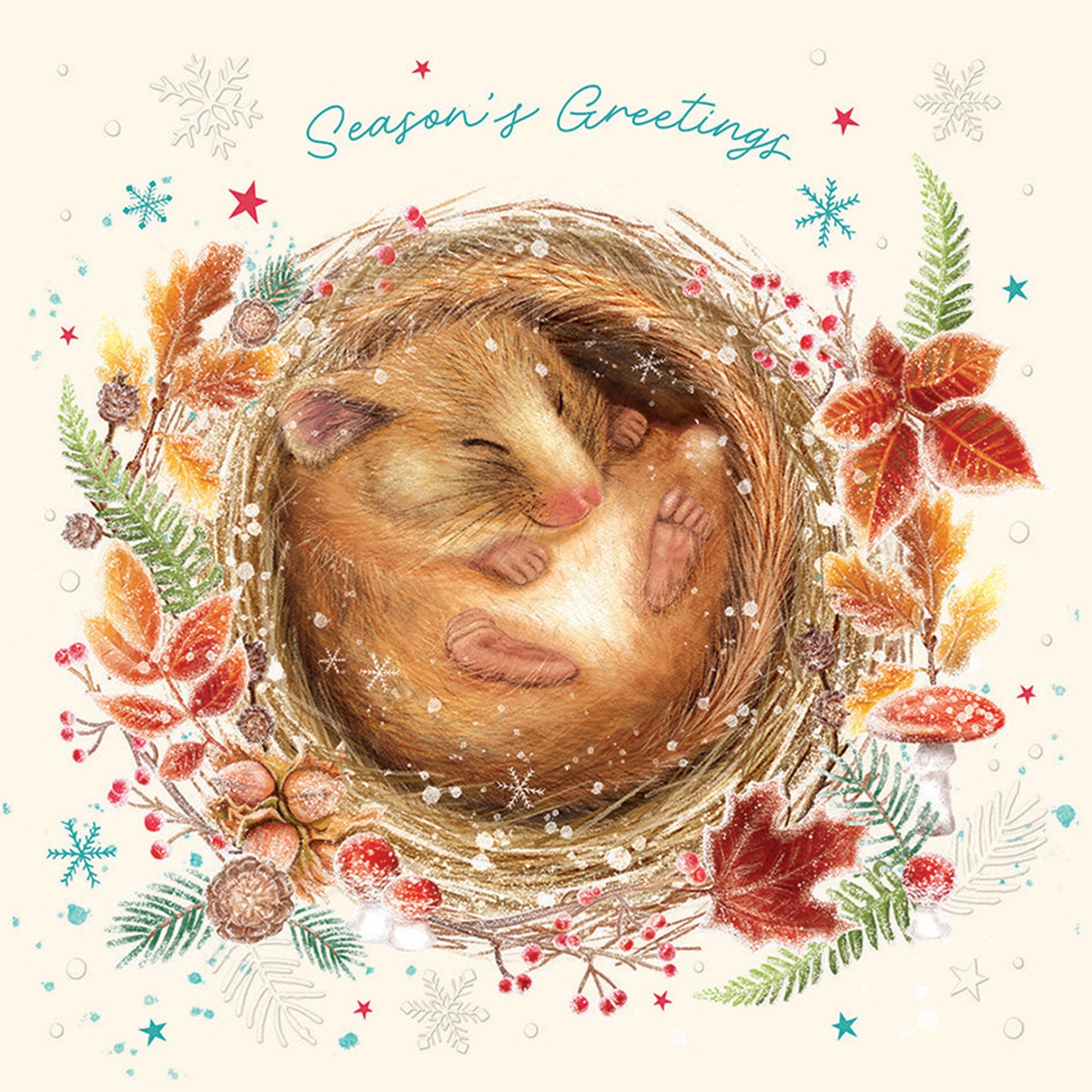 Luxury Charity Christmas Card Twin Pack (10 Cards) - Winter Hibernation