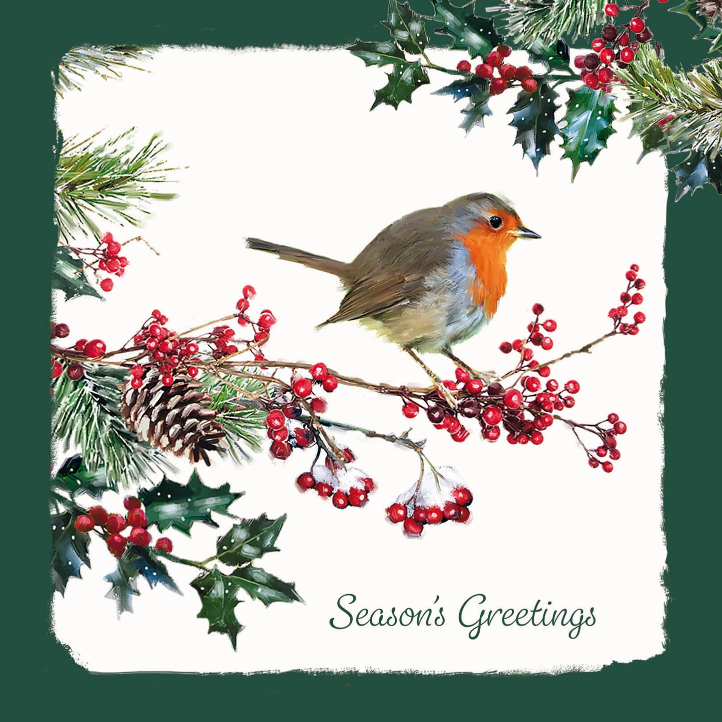 Luxury Charity Christmas 10 Card Pack - Robin & Foliage