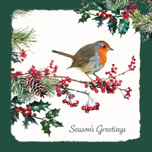 Luxury Charity Christmas 10 Card Pack - Robin & Foliage