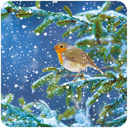 RSPB Luxury Christmas Card Twin Pack (10 Cards) - Snowy Spruce